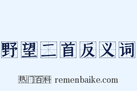 野望二首反义词是什么意思的图片